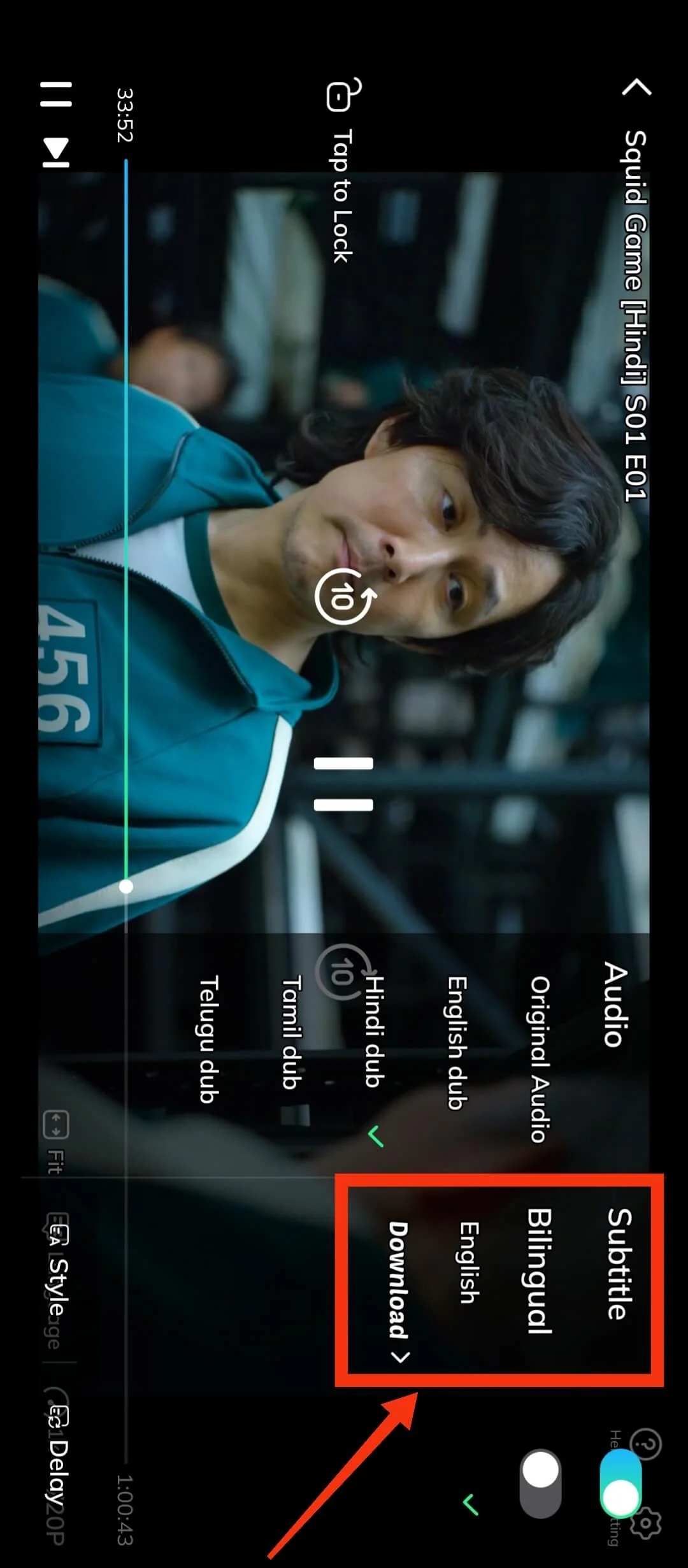 Built-In Subtitles