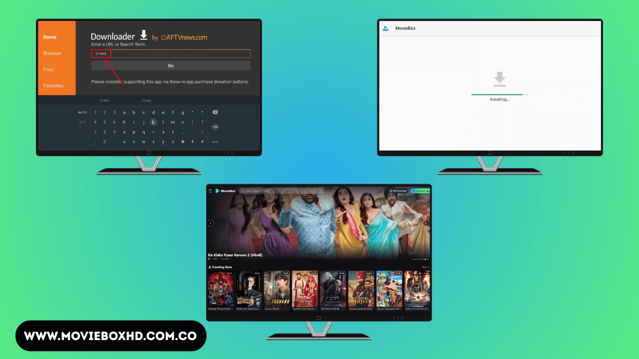 Install MovieBox on Fire TV Stick Using Downloader App (2)